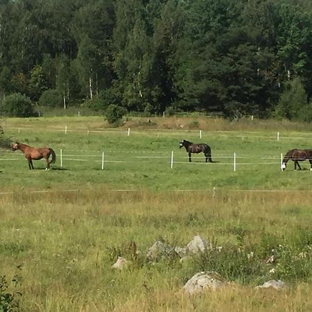 Egen Laegenhet I 2-Familjshus Pa Landet. Villa Tierp ภายนอก รูปภาพ